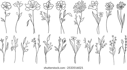 Elegant flowers and  leaves vector set. Hand drawn flower art illustration. Trendy floral wildflowers botanical set.