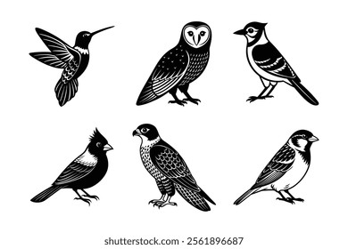 Elegant Flyers Bird Silhouette Bundle – Ruby-throated Hummingbird, Northern Cardinal, Barn Owl, Blue Jay, Peregrine Falcon, House Sparrow