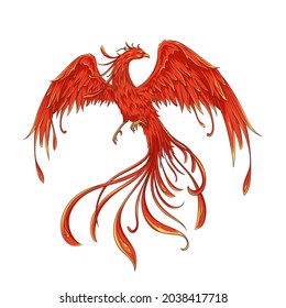 Elegant flying phoenix vector illustration