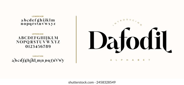 Elegant font alphabet uppercase lowercase and number. Classic lettering minimal fashion designs. Typography modern serif fonts regular decorative vintage concept. Vector illustration