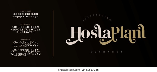 Elegant font alphabet uppercase lowercase and number. Classic lettering minimal fashion designs. Typography modern serif fonts regular decorative vintage concept. Vector illustration