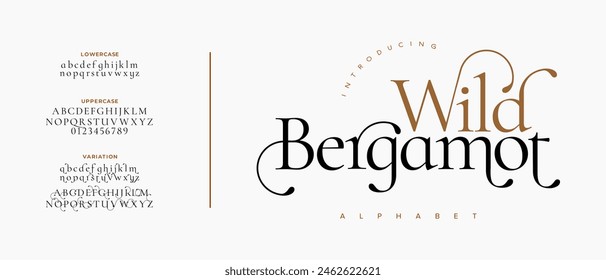 Elegant font alphabet uppercase lowercase and number. Classic lettering minimal fashion designs. Typography modern serif fonts regular decorative vintage concept. Vector illustration