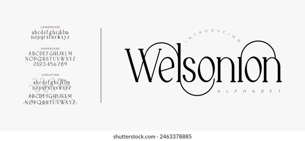 Elegant font alphabet uppercase lowercase and number. Classic lettering minimal fashion designs. Typography modern serif fonts regular decorative vintage concept. Vector illustration