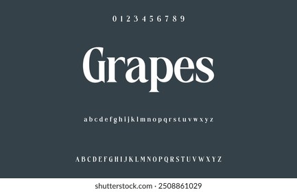 Elegant font and numbering for alphabet letters. Vector illustration of lovely wedding classic writing serif fonts decorated vintage retro theme.