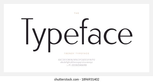 Elegant font sans serif style modern typography letters and number. Uppercase and lowercase letters. Minimal luxure alphabet for promotion, video, decoration, logo, poster, book, printing. Vector