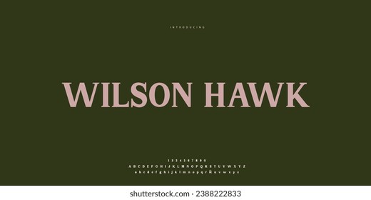 Elegant Font Uppercase Lowercase and Number. Classic Lettering Minimal Fashion Designs. Typography modern Serif fonts regular decorative vintage concept. vector illustration