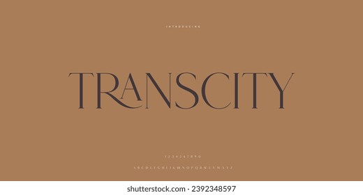 Elegant Font Uppercase Lowercase and Number. Classic Lettering Minimal Fashion Designs. Typography modern Serif fonts regular decorative vintage concept. vector illustration