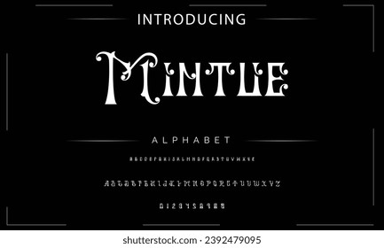 Elegante Tipo de letra mayúscula, minúscula y número. Diseños de moda mínimos con letras clásicas. Tipografía moderna de serif con el concepto de vintage decorativo regular. ilustración vectorial