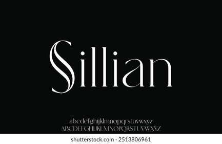 Letra elegante maiúscula minúscula e número. Clássico Lettering minimal Fashion Designs. Tipografia moderna serif fontes decorativo regular vintage conceito.