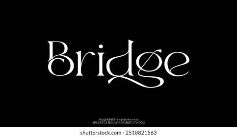 Elegant Font Uppercase Lowercase And Number. Classic Lettering Minimal Fashion Designs. Typography modern serif fonts regular decorative vintage concept. vector illustration