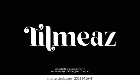 Elegant Font Uppercase Lowercase and Number. Classic Lettering Minimal Fashion Designs. Typography modern serif fonts regular decorative vintage concept.