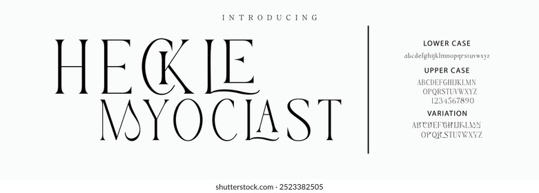 Elegant Font Uppercase Lowercase and Number. Classic Lettering Minimal Fashion Designs. Typography modern serif fonts regular decorative vintage concept. vector illustration