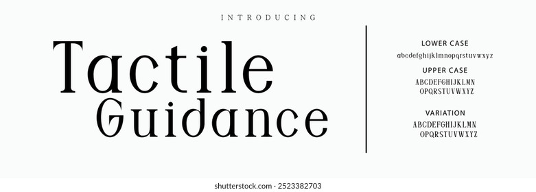 Elegant Font Uppercase Lowercase and Number. Classic Lettering Minimal Fashion Designs. Typography modern serif fonts regular decorative vintage concept. vector illustration
