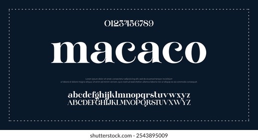 Elegant Font Uppercase Lowercase Number And Ampersand. Classic Lettering Minimal Fashion Designs. Typography modern serif fonts regular decorative vintage concept. vector illustration