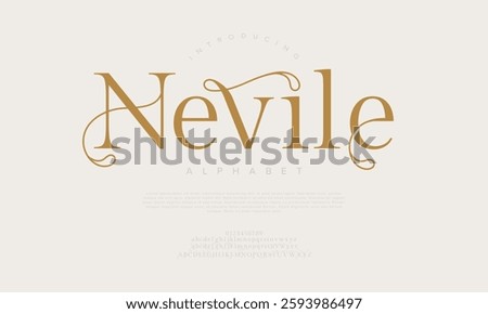 Elegant Font Uppercase Lowercase And Number. Classic Lettering Minimal Fashion Designs. Typography modern serif fonts regular decorative vintage concept. vector illustration