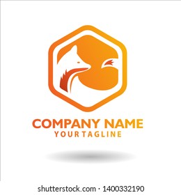 elegant fox logo with orange color