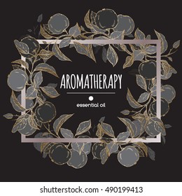 Elegant frame template with black and golden apple fruit and leaves sketch. Aromatherapy series. Great for traditional medicine, perfume design, cooking or gardening.