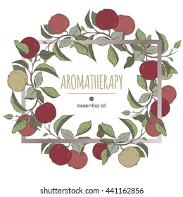 Elegant frame template with color apple fruit and leaves sketch. Aromatherapy series. Great for traditional medicine, perfume design, cooking or gardening.