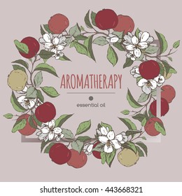 Elegant frame template with color apple fruit and jasmine flowers sketch. Aromatherapy series. Great for traditional medicine, perfume design, cooking or gardening.