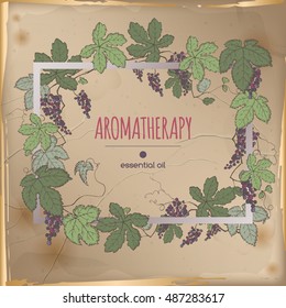 Elegant frame template with color grapes fruit and leaves sketch on vintage background. Aromatherapy series. Great for winery, grocery store, perfume design, cooking or gardening.