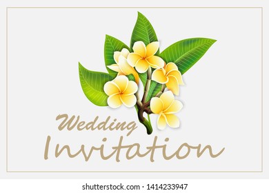 Elegant frame wedding invitation with plumeria flowers on isolated white background. Can be used for wedding, save the date, events, sign, scrapbook album cover. Cute vector template