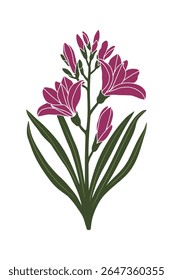 Ilustração de vetor de flor de freesia elegante com botões e folhas verdes
