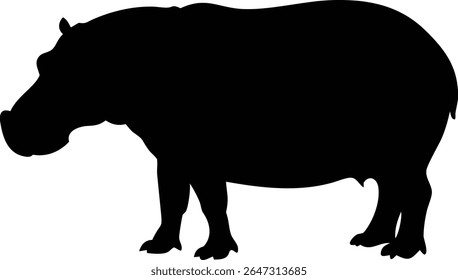 An elegant, full body hippo silhouette isolated on white, showing a side view of the animal standing still. Perfect for educational resources or graphic designs.