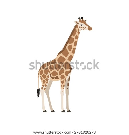 Elegant giraffe illustration in flat vector style, featuring a tall giraffe with detailed brown patch patterns standing and isolated background