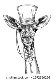 Elegant giraffe with monocle, dressed in hat and suite, ink sketch, hand drawn vector illustration