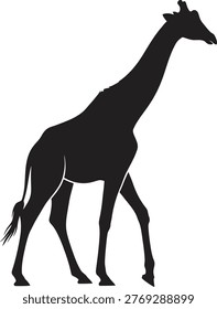 Elegant giraffe walking gracefully vector silhouette isolated on white background