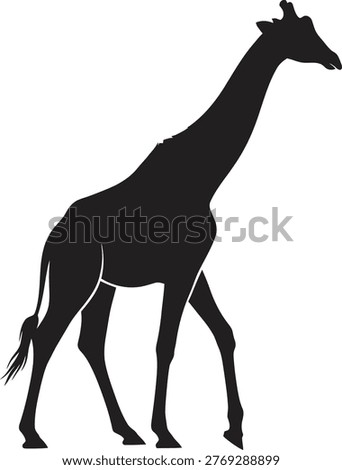 Elegant giraffe walking gracefully vector silhouette isolated on white background