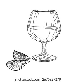 Elegante vidro de conhaque e fatias de limão, esboço preto e branco. Ilustração vetorial. Bebida alcoólica clássica isolada sobre fundo branco. Vidro de uísque ou de rum, para postais e impressão.