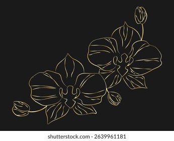 Elegant gold line art illustration of orchid flowers with buds on black dackground. Minimalist botanical drawing, perfect for floral design, invitations decor. Vector illustration