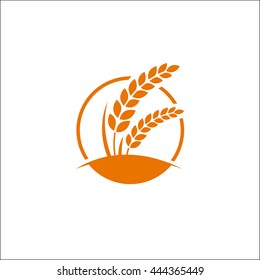 Elegant Gold Rice vector
