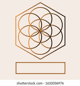 
elegant golden logo with a frame for signature