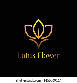 elegant golden lotus with line style