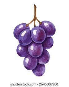 Uvas elegantes em roxas ricas com exuberantes folhas violetas - ideal para rótulos de vinho, arte de cozinha, menus ou marca de produtos orgânicos. Fresco, suculento e cheio de charme natural.