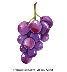 Uvas elegantes em roxas ricas com folhas verdes exuberantes - ideal para rótulos de vinho, arte de cozinha, menus ou marca de produtos orgânicos. Fresco, suculento e cheio de charme natural.