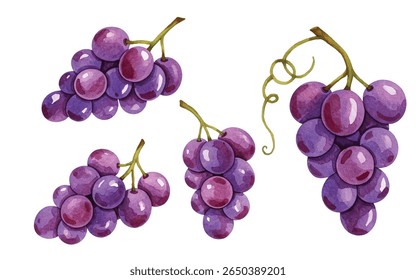Elegant  grapes in rich purples with lush green leaves-ideal for wine labels, kitchen art, menus, or organic product branding. Fresh, juicy, and full of natural charm.