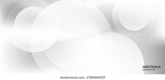 Elegant grayscale abstract composition featuring transparent circular forms, soft shadows, atmospheric lighting, and smooth tonal gradients.