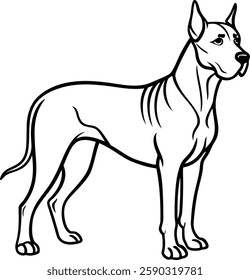 Elegant great dane line art minimalist dog illustration