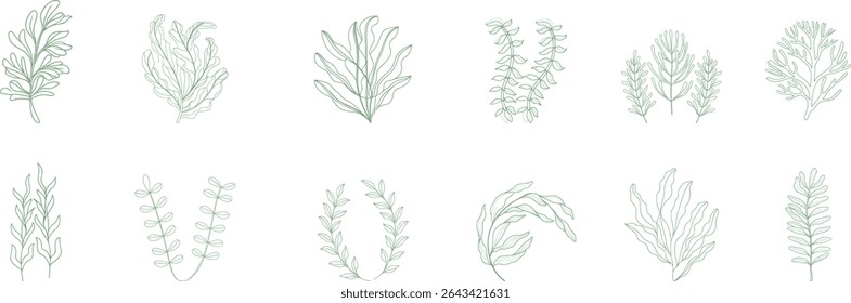 Elegant green botanical line art set of herbs, foliage, and leaves. Perfect for nature-inspired design, eco branding, decorative elements, packaging, or minimalist illustrations.