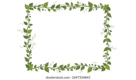 Elegant green foliage vine rectangular frame with delicate leaves and tendrils, offering a natural and organic border for various design projects.