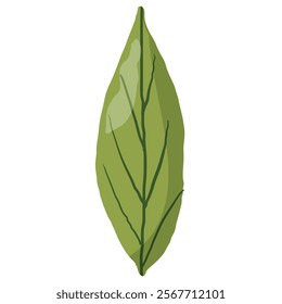 Elegant green leaf illustration with a slim and elongated shape, featuring natural vein details. Ideal for eco-themed designs, botanical projects, packaging, and decorative purposes