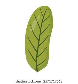 Elegant green leaf illustration with smooth curves and detailed veins. Perfect for eco-themed designs, botanical projects, and nature-inspired decorations, ensuring visibility in top search results