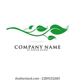 Elegant green leaf logo design