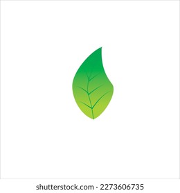 An elegant green leaf logo on a white background, depicting the nuances of nature