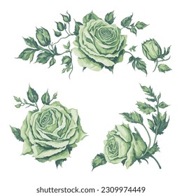 Elegant Green Rose Watercolor Floral Collection for Wedding Invitation Ornament.