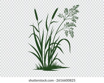 Elegant green wild grass and delicate foliage silhouette design perfect for eco-friendly themes, landscape decoration, organic projects, and natural vector artwork with transparent background.