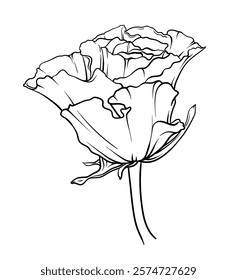 elegant half-opened rosebud. detailed black and white outline image, suitable for use in graphic design, coloring books, botanical illustrations and decorative projects